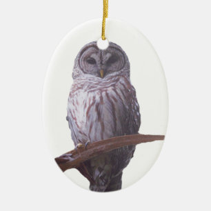 Décoration En Céramique Barred Owl Ornament