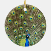 Décoration En Céramique Beau oiseau de paon (Dos)