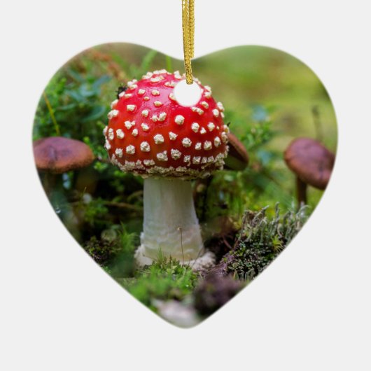 Décoration En Céramique Beauté d'automne (Devant)