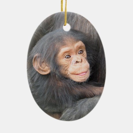 Décoration En Céramique Bébé chimpanzé (Dos)