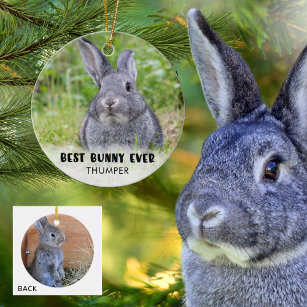 Décoration En Céramique BEST BUNNY EVER Rabbit Photo personnalisée