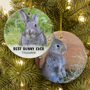 Décoration En Céramique BEST BUNNY EVER Rabbit Photo personnalisée