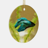 Décoration En Céramique Betta est mieux original (Droite)