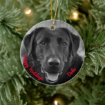 Décoration En Céramique Black Labrador Photo Pet Dog<br><div class="desc">Black Labrador Photo Animaux de compagnie chien ornement en céramique</div>