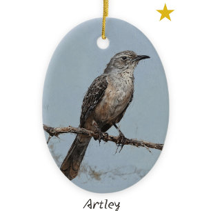 Décoration En Céramique Bleu Nord Mockingbird Peinture d'oiseaux Année