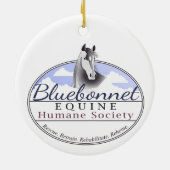 Décoration En Céramique Boîtier en céramique BEHS (Dos)