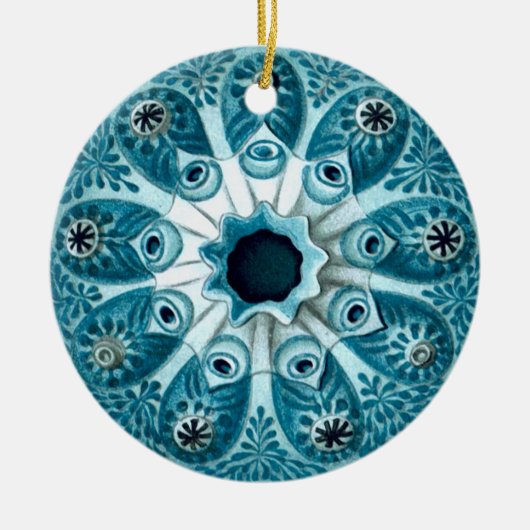 Décoration En Céramique Botryllus polycyclus Ernst Haeckel Fine Art (Devant)