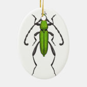 Décoration En Céramique Bousier vert (Dos)