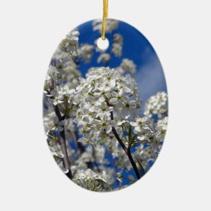 Décoration En Céramique Bradford Pear Blooms