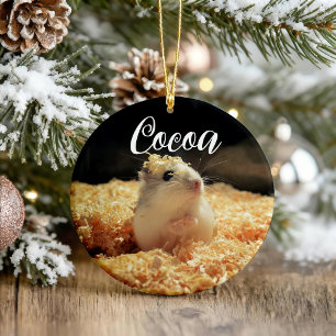 Décoration En Céramique Cadeau De Hamster Cute Pour Les Amateurs De Hamste