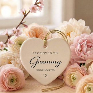 Décoration En Céramique Cadeau de révélation de grossesse pour la fête des