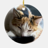 Décoration En Céramique Calico (Dos)