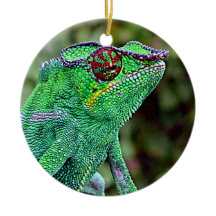 Caméléon