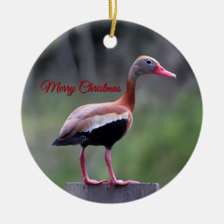 Décoration En Céramique Canard siffleur à ventre noir, Joyeux Noël