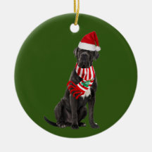 Cane Corso Avec Scaft Casquette Noël