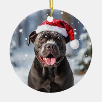 Décoration En Céramique Cane Corso Chien Noël Keepsaké
