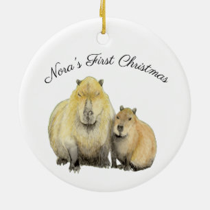 Décoration En Céramique Capybara