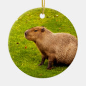 Décoration En Céramique Capybara (Devant)