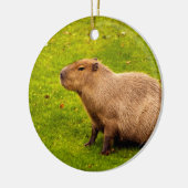 Décoration En Céramique Capybara (Gauche)