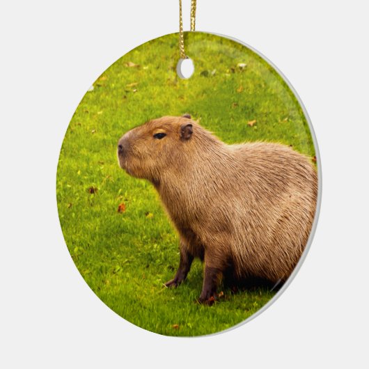 Décoration En Céramique Capybara (Gauche)