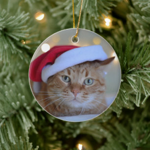 Décoration En Céramique Cat and Christmas lights