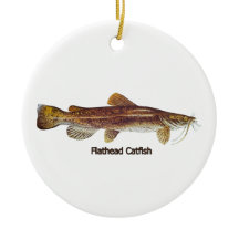 Catfish en tête d'affiche