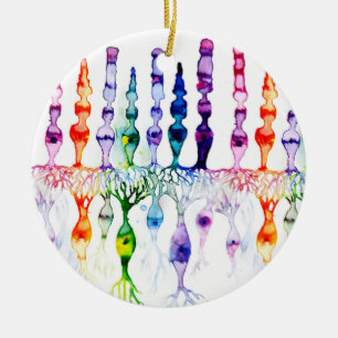 Décoration En Céramique Cellules cônes cellules tiges et neurone bipolaire