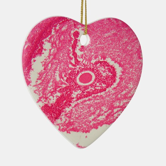 Décoration En Céramique Cellules d'ovaire sous le microscope (Droite)