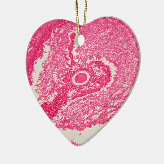 Décoration En Céramique Cellules d'ovaire sous le microscope (Gauche)