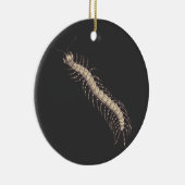 Décoration En Céramique Centipede (Droite)