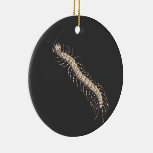 Décoration En Céramique Centipede (Droite)