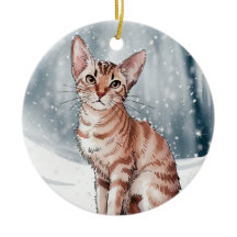 Cercle de chat abyssinien Noël Noël Noël Noël