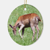 Décoration En Céramique Cerf (Gauche)