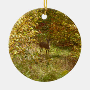 Décoration En Céramique Cerfs de Pennsylvanie en automne dans la nature