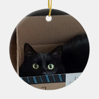 Décoration En Céramique Chat dans une boîte