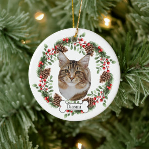 Décoration En Céramique chat de coon principal
