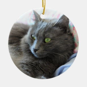 Décoration En Céramique Chat de Nebelung
