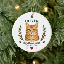 Chat orange tigré personnalisé pour Noël
