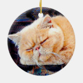 Décoration En Céramique Chat persan orange (Dos)