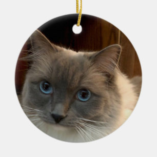 Décoration En Céramique Chat Ragdoll aux yeux bleus peut être personnalisé