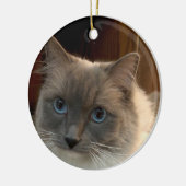 Décoration En Céramique Chat Ragdoll aux yeux bleus peut être personnalisé (Gauche)