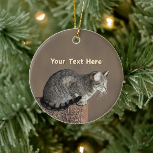 Décoration En Céramique Chat Tabby Gris Fumé