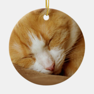 Décoration En Céramique Chaton couchant