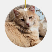 Décoration En Céramique Chats (Dos)