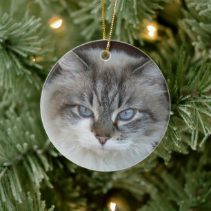 Décoration En Céramique Chats photo pour animaux de compagnie personnalisé