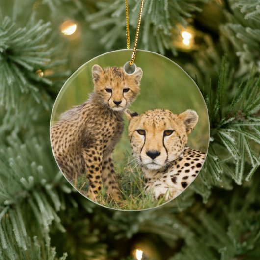 Décoration En Céramique Cheetah Cub and Parent (Arbre)