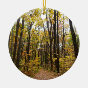Décoration En Céramique Chemin d'automne et Feuilles d'or au parc Laurel H