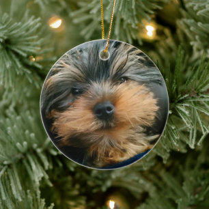 Décoration En Céramique Cher Yorkshire Terrier Yorkie Chien chiot