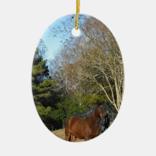 Décoration En Céramique Cheval brun contre une clôture