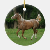 Décoration En Céramique Cheval de l'Appaloosa (Dos)